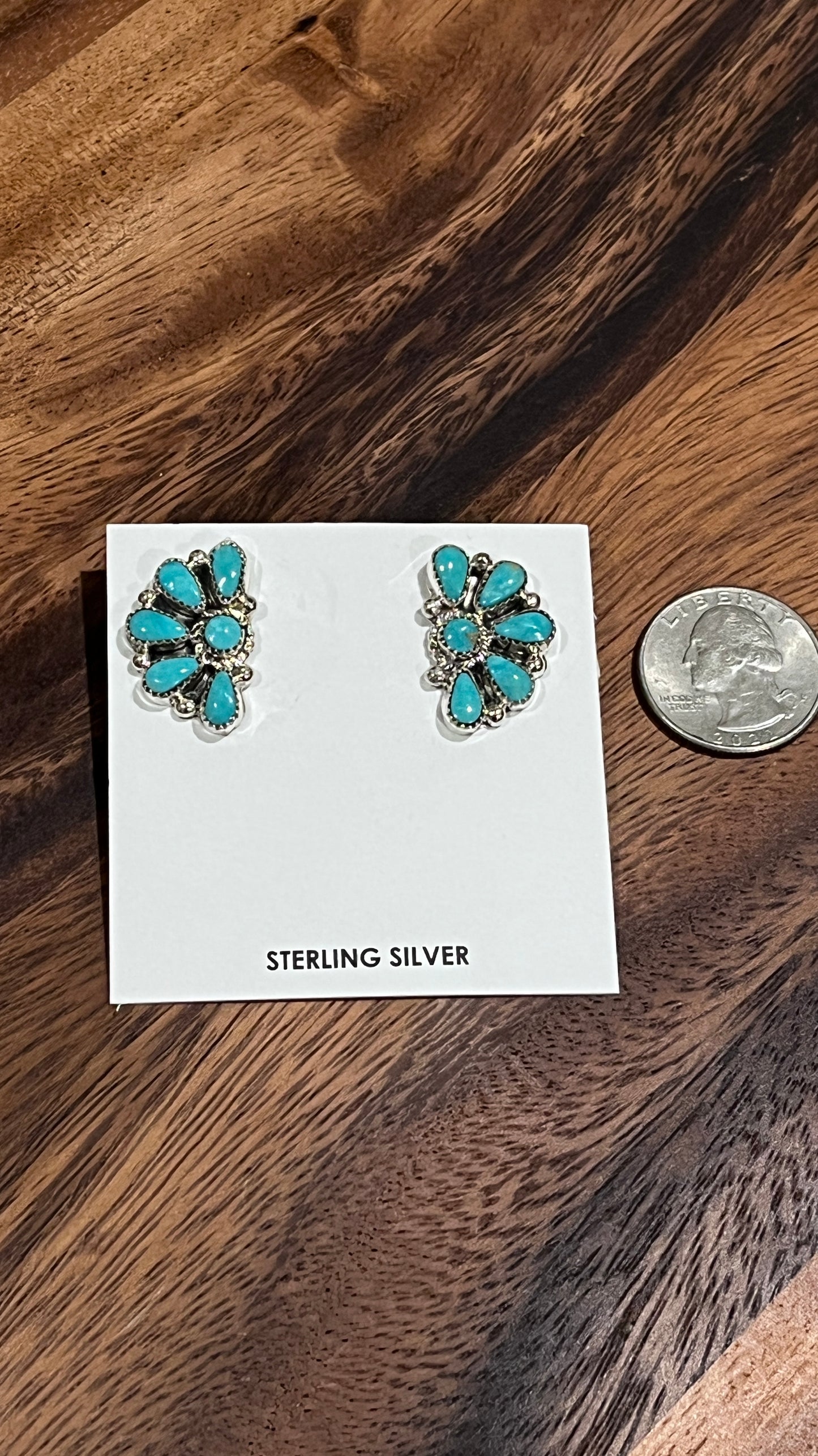 Alcia Wilson Kingman Turquoise Earrings
