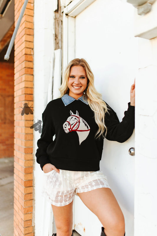 Fort Worth Nights Sweater