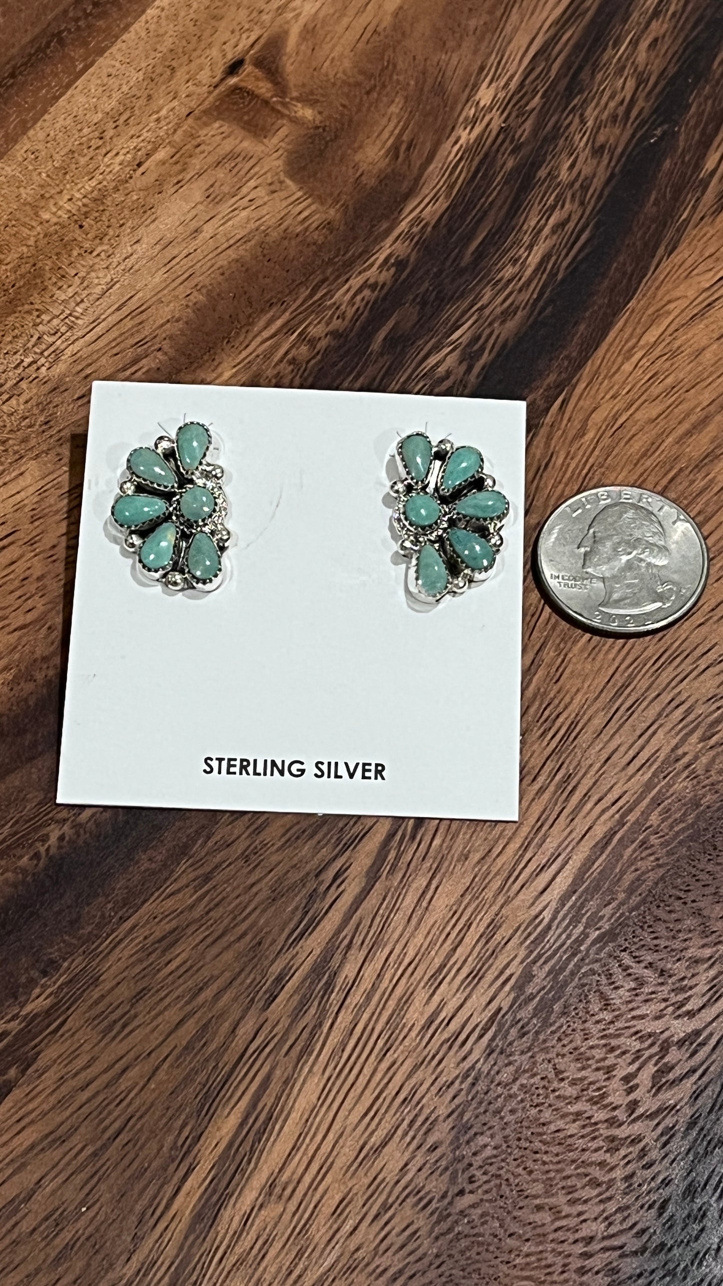 Alcia Wilson Kingman Turquoise Earrings